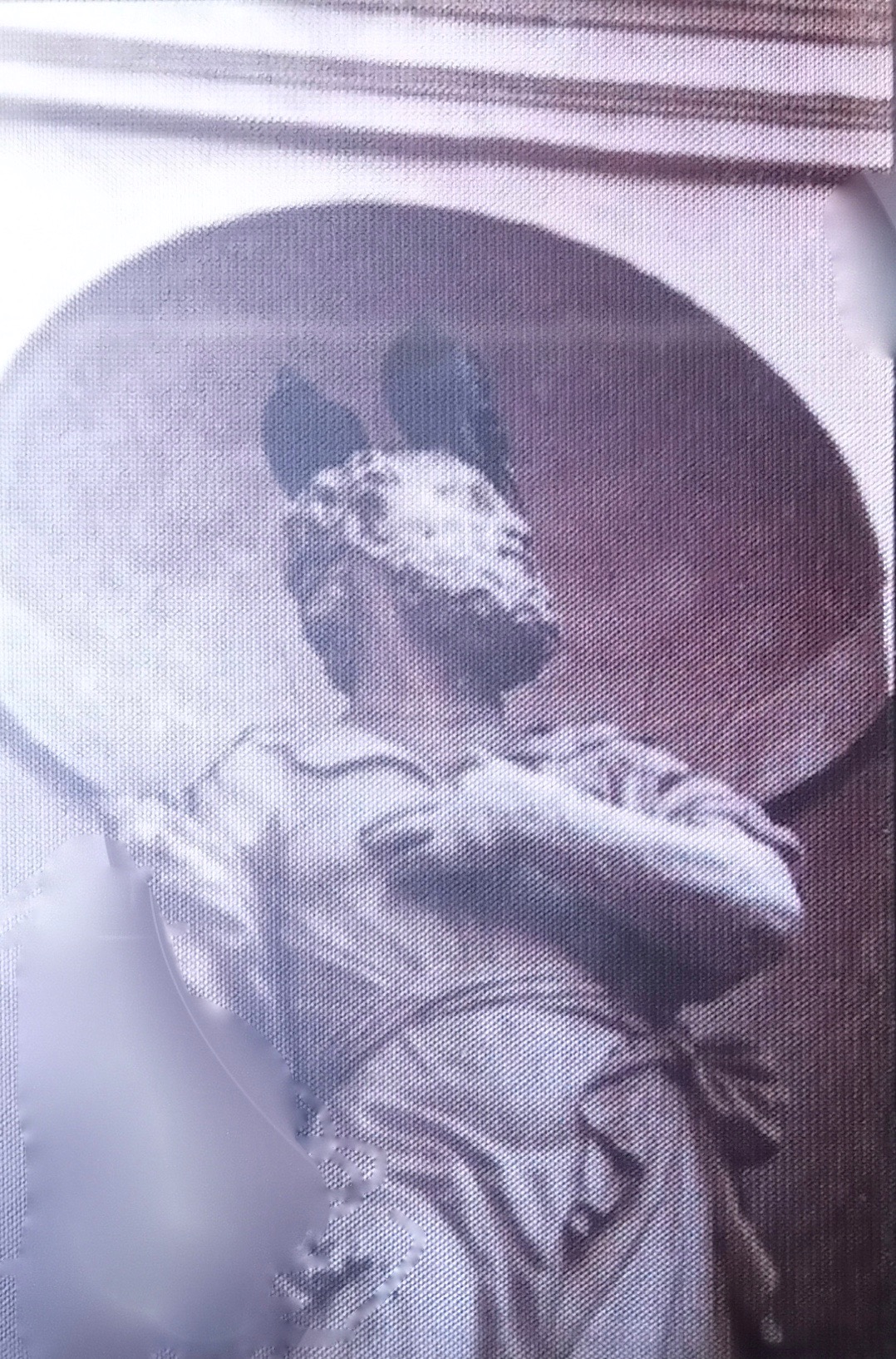 statua